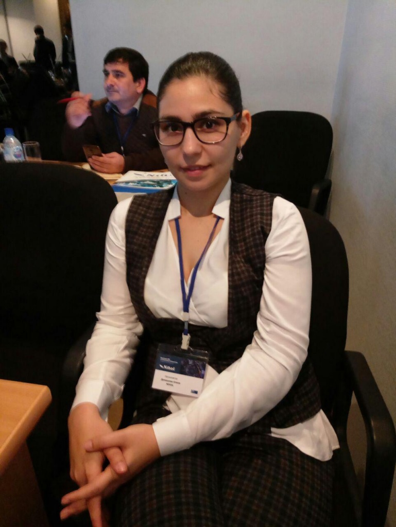 Елена Домашева, бизнес-аналитик NIHOL, спикер мероприятия.