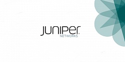 Сетевое оборудование компании Juniper Networks