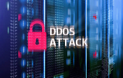 Что такое DDoS и как защититься от него? Разбираемся с экспертом Саидбеком Мажидовым